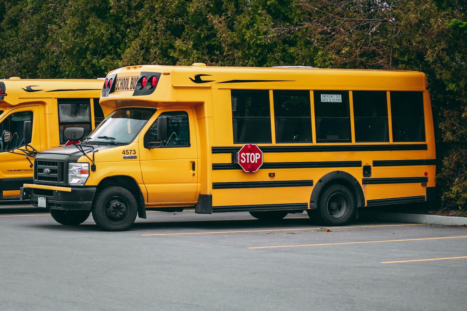 Yellow school buses parked in a paved lot